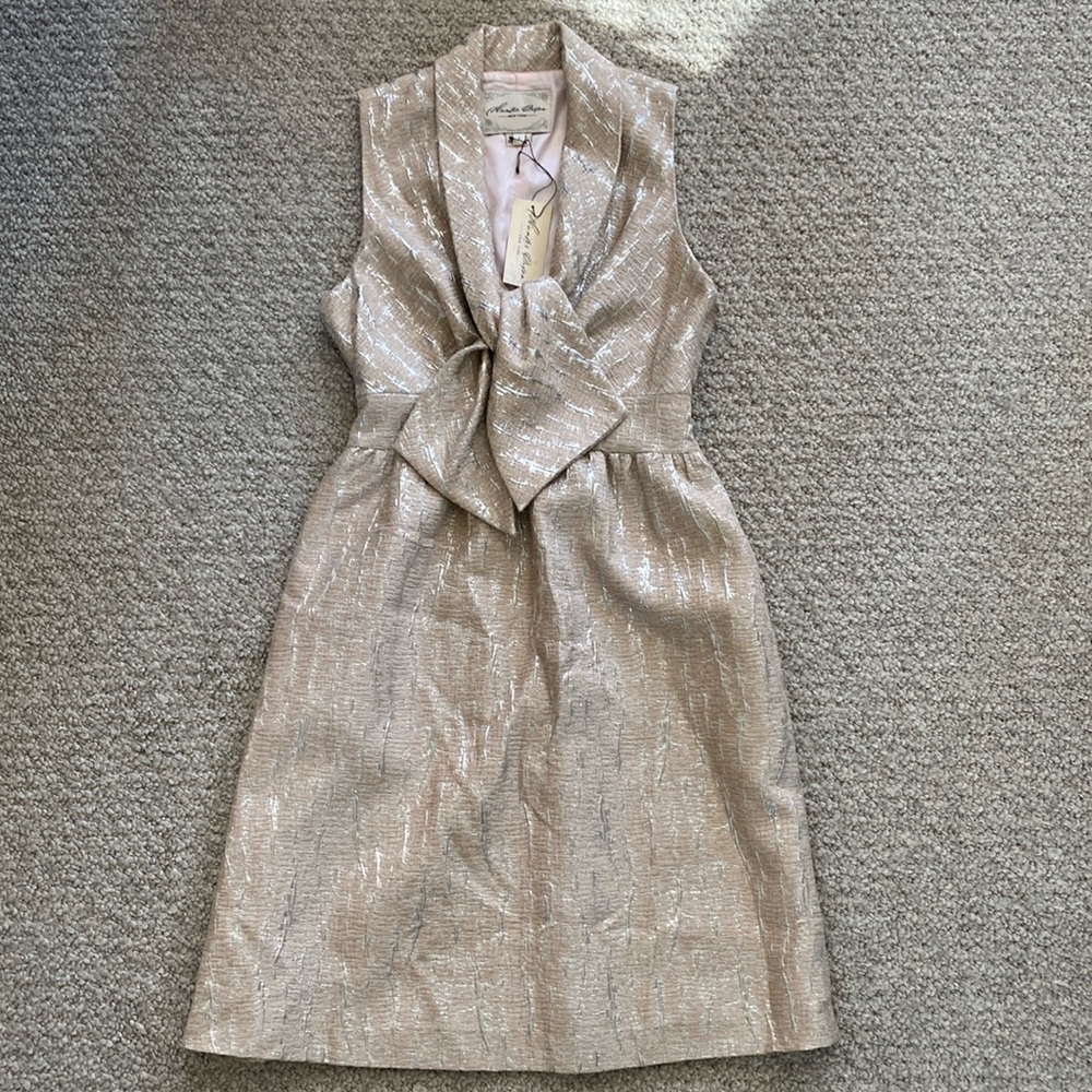 Vintage hunter Dixon brocade lined dress in silver & blush size 2